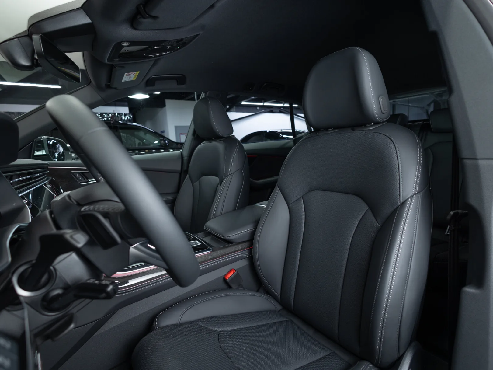 Audi Q8 55 TFSI I (4M) Рестайлинг, 2024 — экстерьер, фото 11