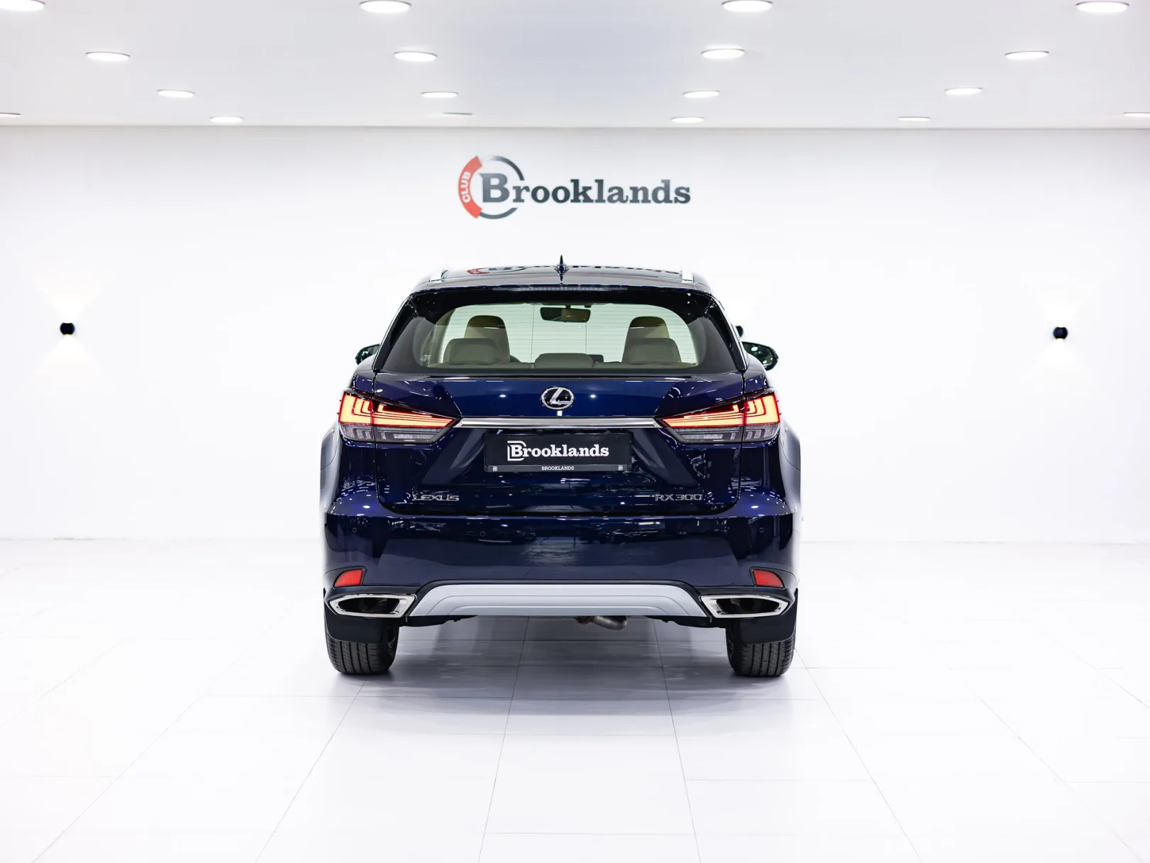 Lexus RX IV Рестайлинг, 2022 — экстерьер, фото 5