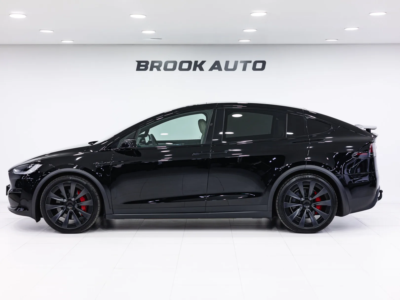 Tesla Model X I Рестайлинг, 2023 — экстерьер, фото 7