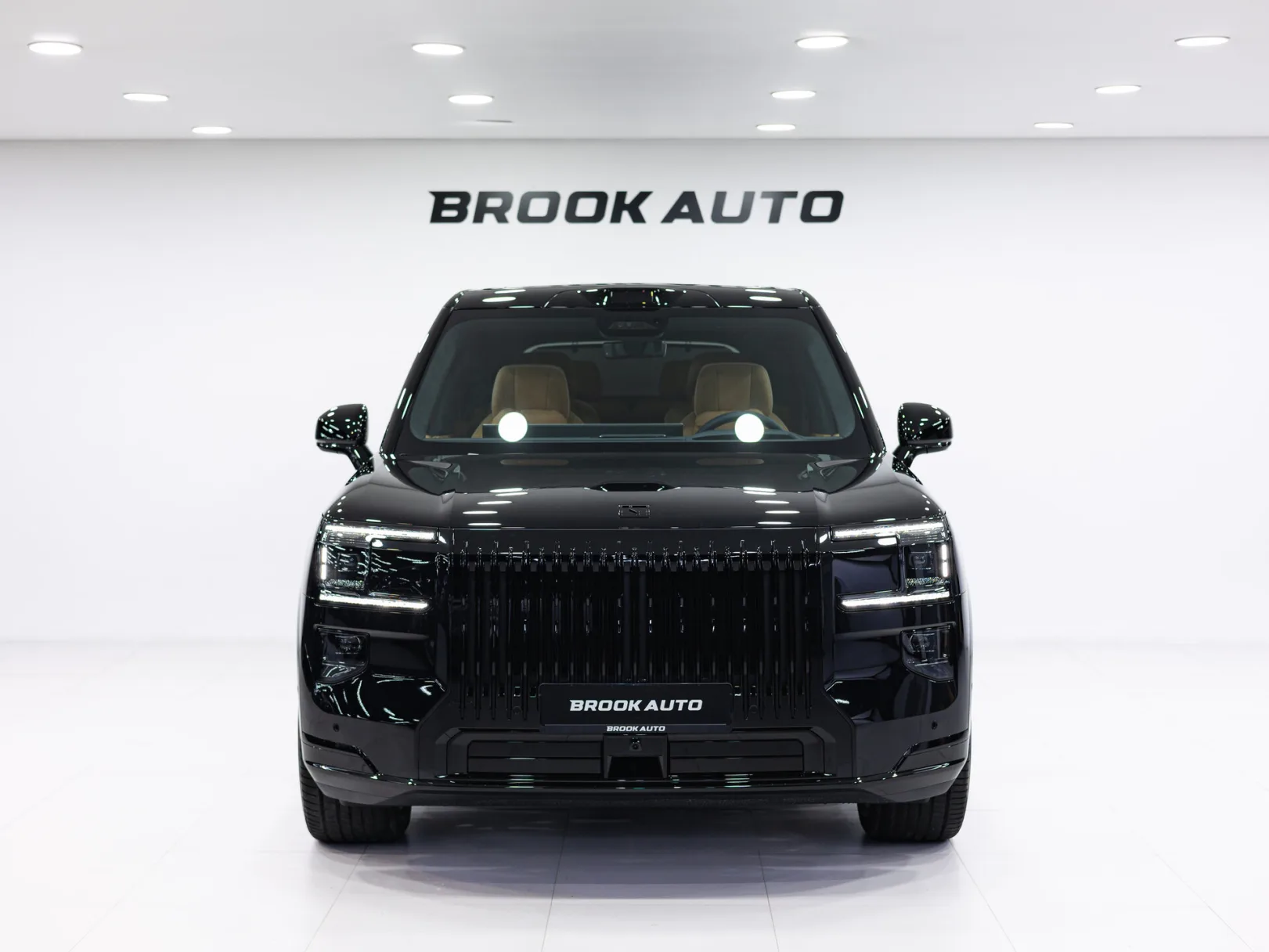 Zeekr 9X Max (6 seats) I, 2025 — экстерьер, фото 2