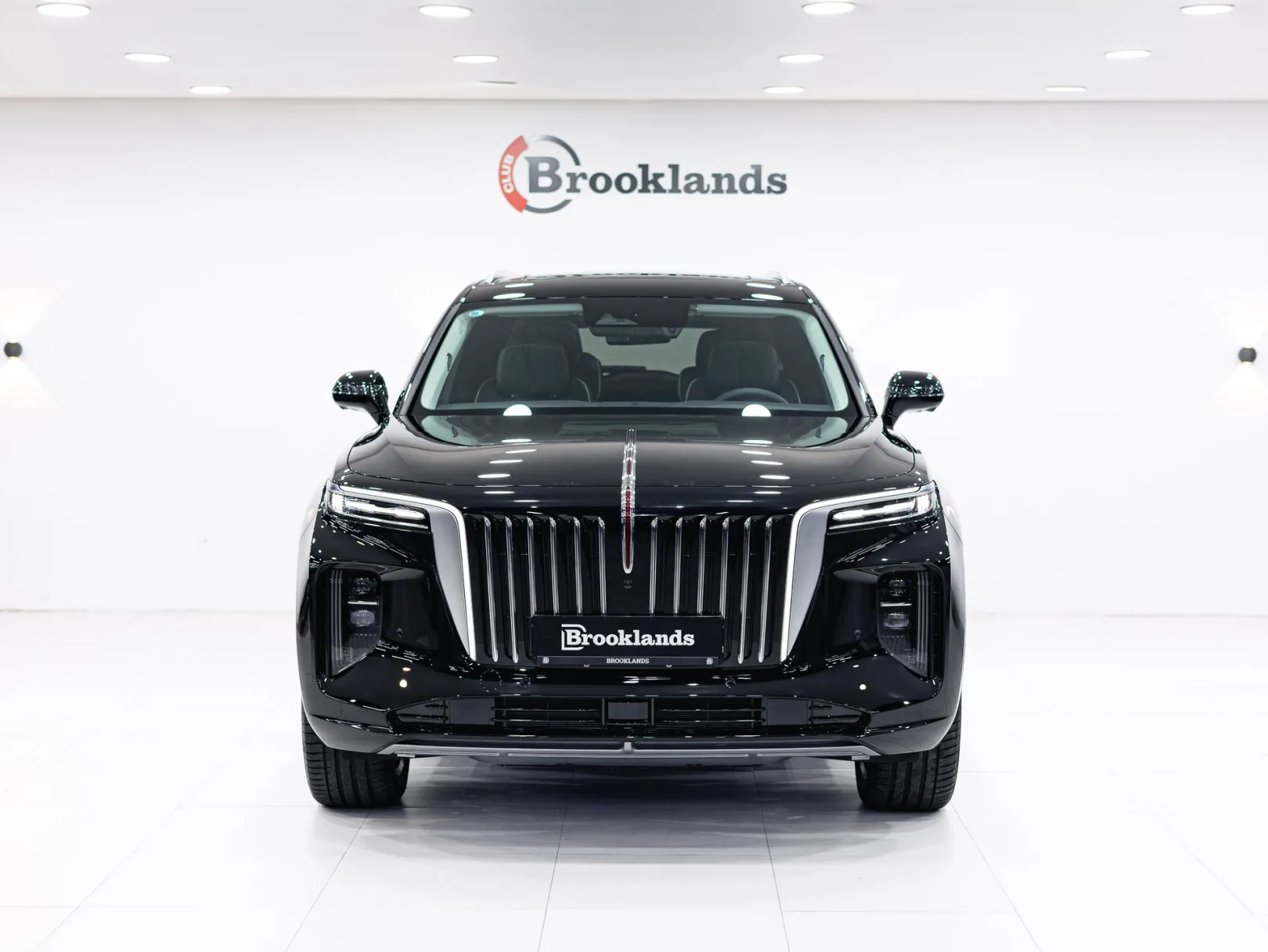 Hongqi E-HS9 I, 2023 — экстерьер, фото 2