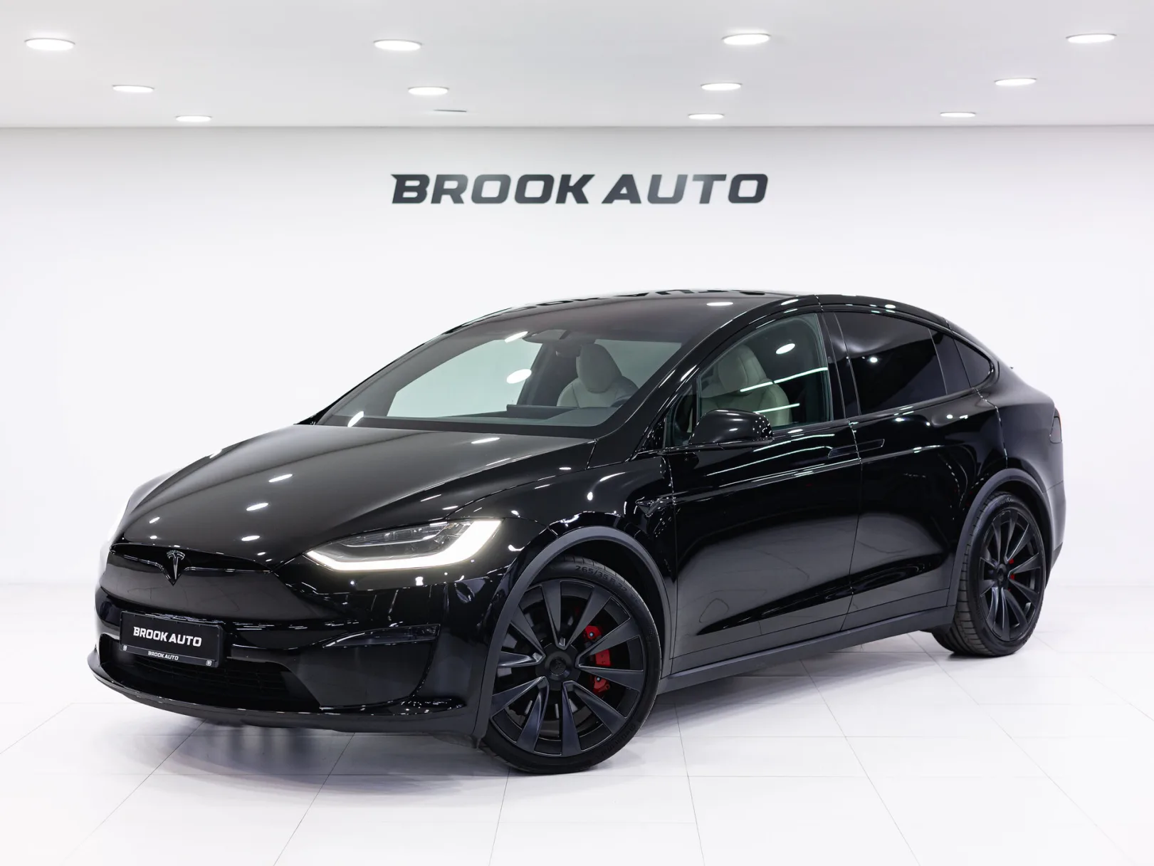 Tesla Model X I Рестайлинг, 2023 — экстерьер, фото 1