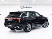 Hongqi E-HS9 I, 2023 — экстерьер, фото 4