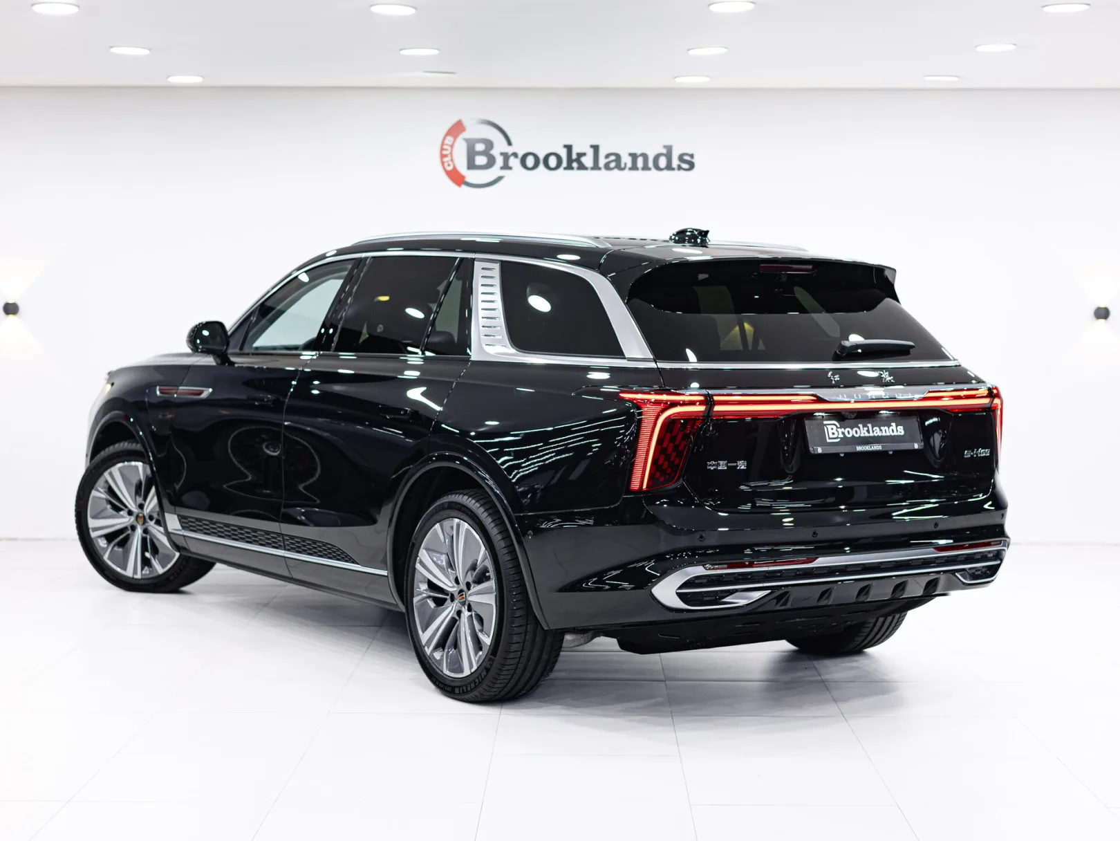 Hongqi E-HS9 I, 2023 — экстерьер, фото 6