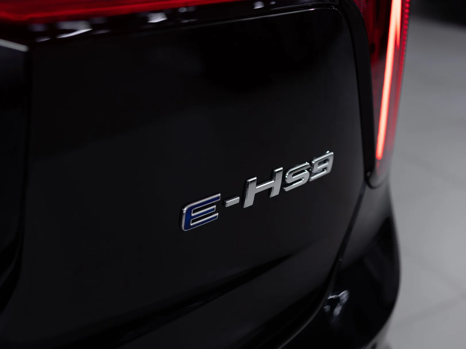 Hongqi E-HS9 I, 2023 — экстерьер, фото 25