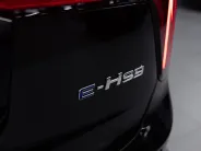 Hongqi E-HS9 I, 2023 — экстерьер, фото 25