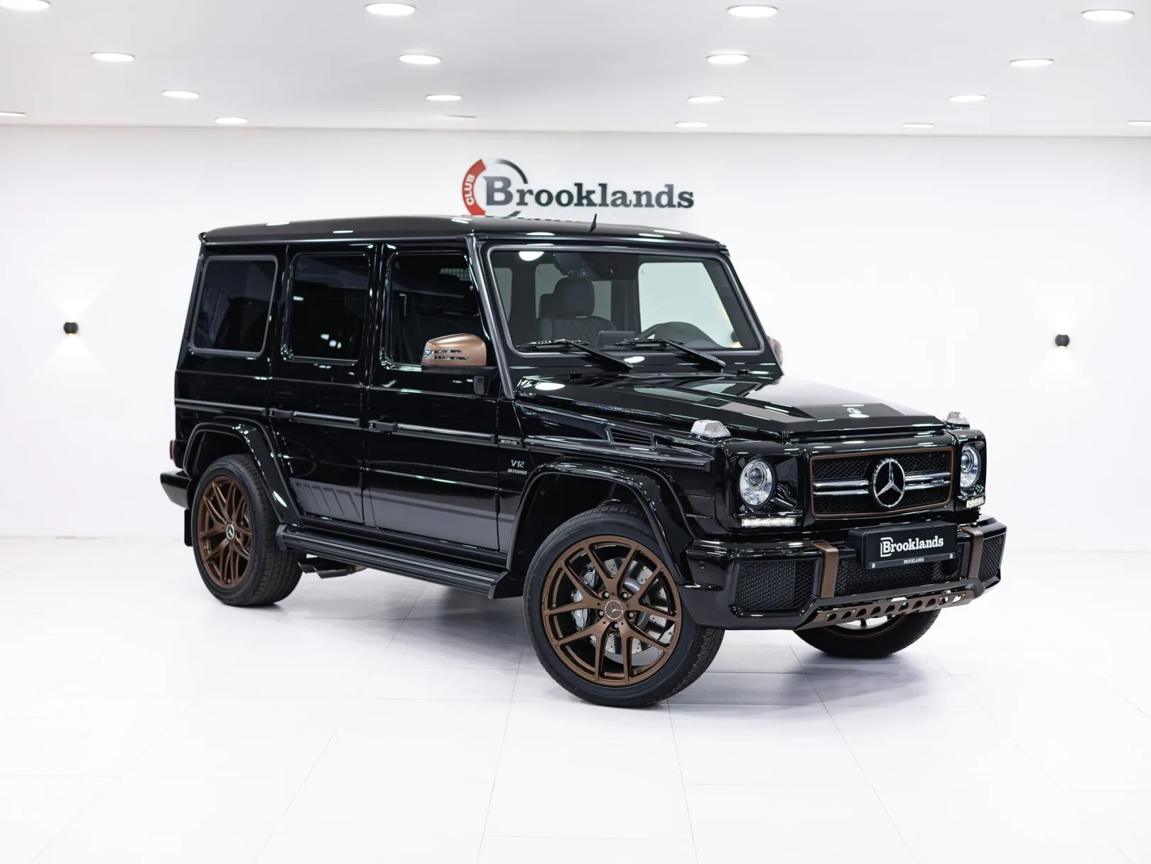 Mercedes-Benz G-Класс AMG G 65 I (W463) Рестайлинг 3, 2018 — экстерьер, фото 3