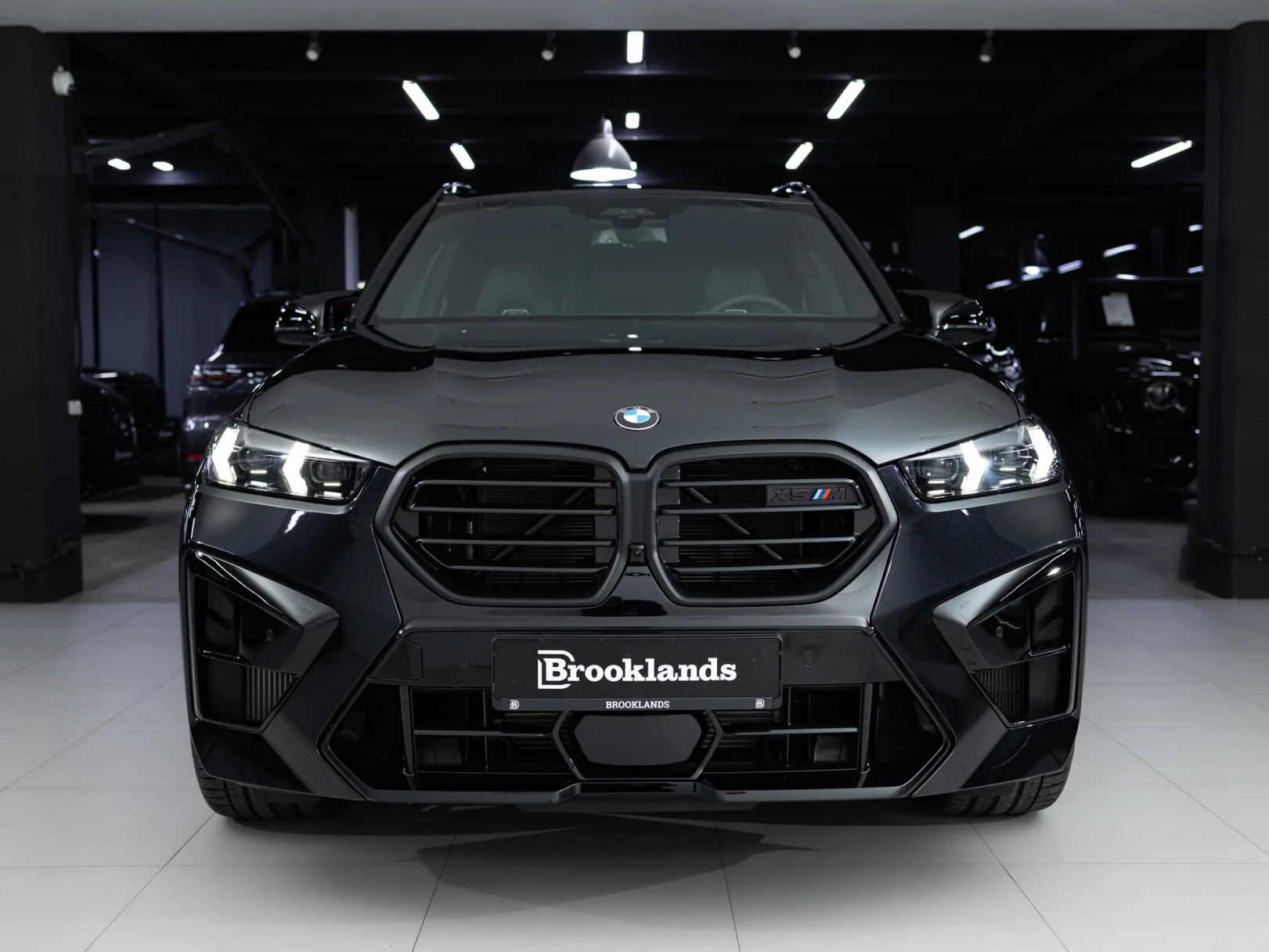 BMW X5 M Competition III (F95) Рестайлинг, 2024 — экстерьер, фото 31