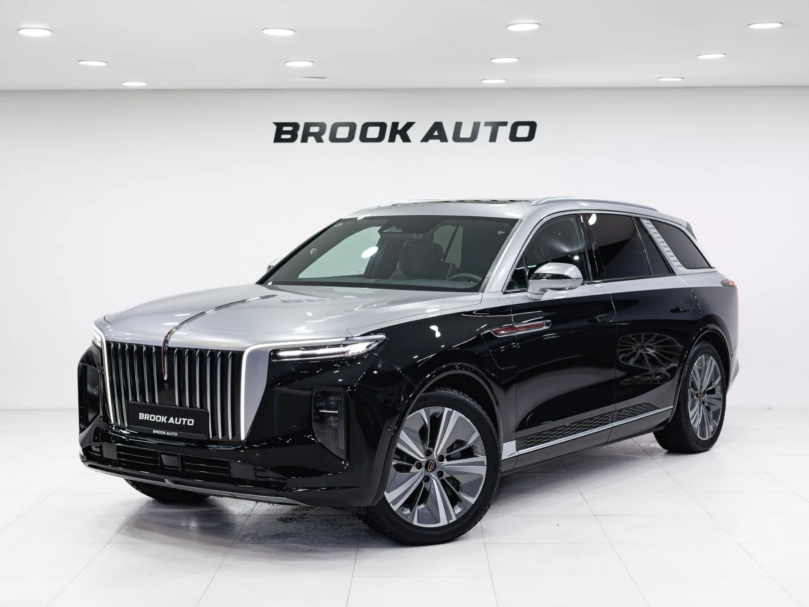 Hongqi E-HS9 Flagship (China) I, 2021 — экстерьер, фото 1