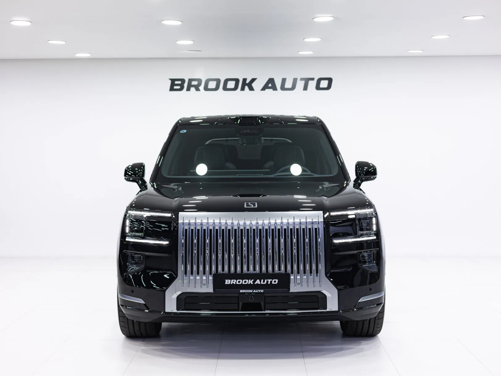 Zeekr 9X Max (6 seats) I, 2025 — экстерьер, фото 2