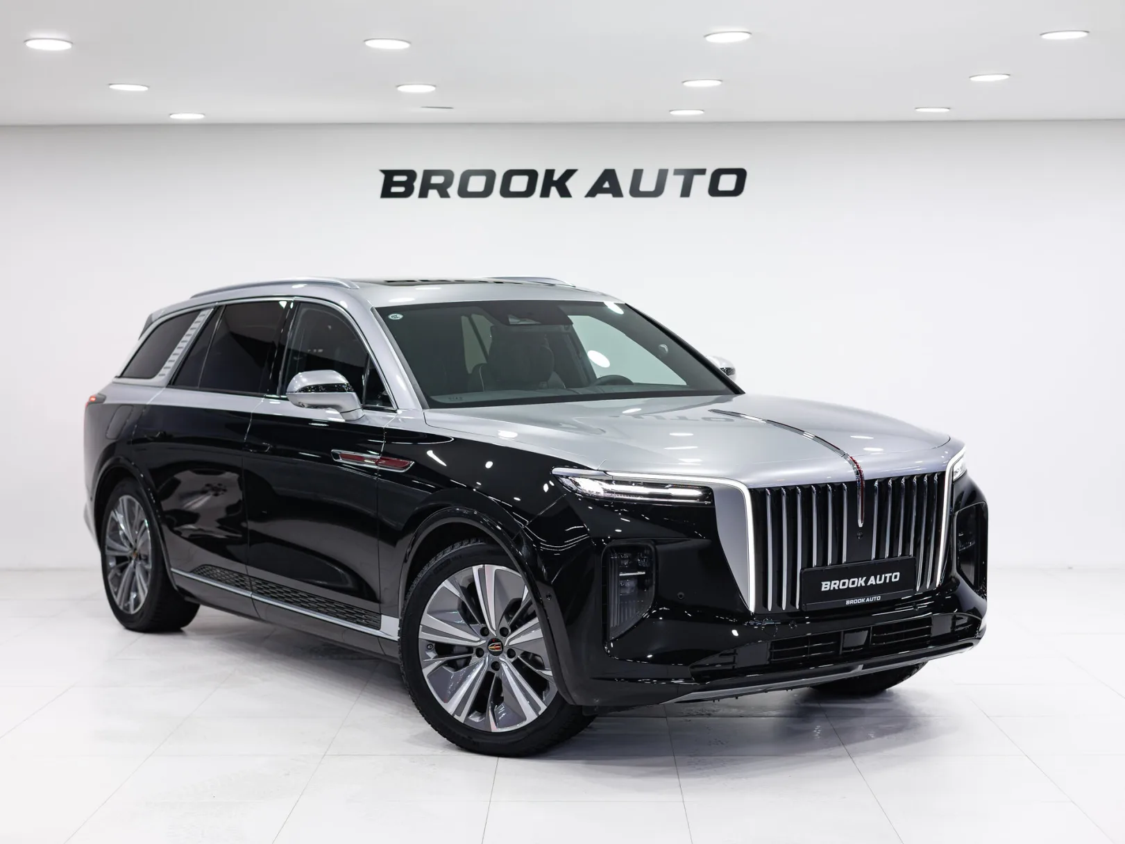 Hongqi E-HS9 Flagship (China) I, 2021 — экстерьер, фото 3