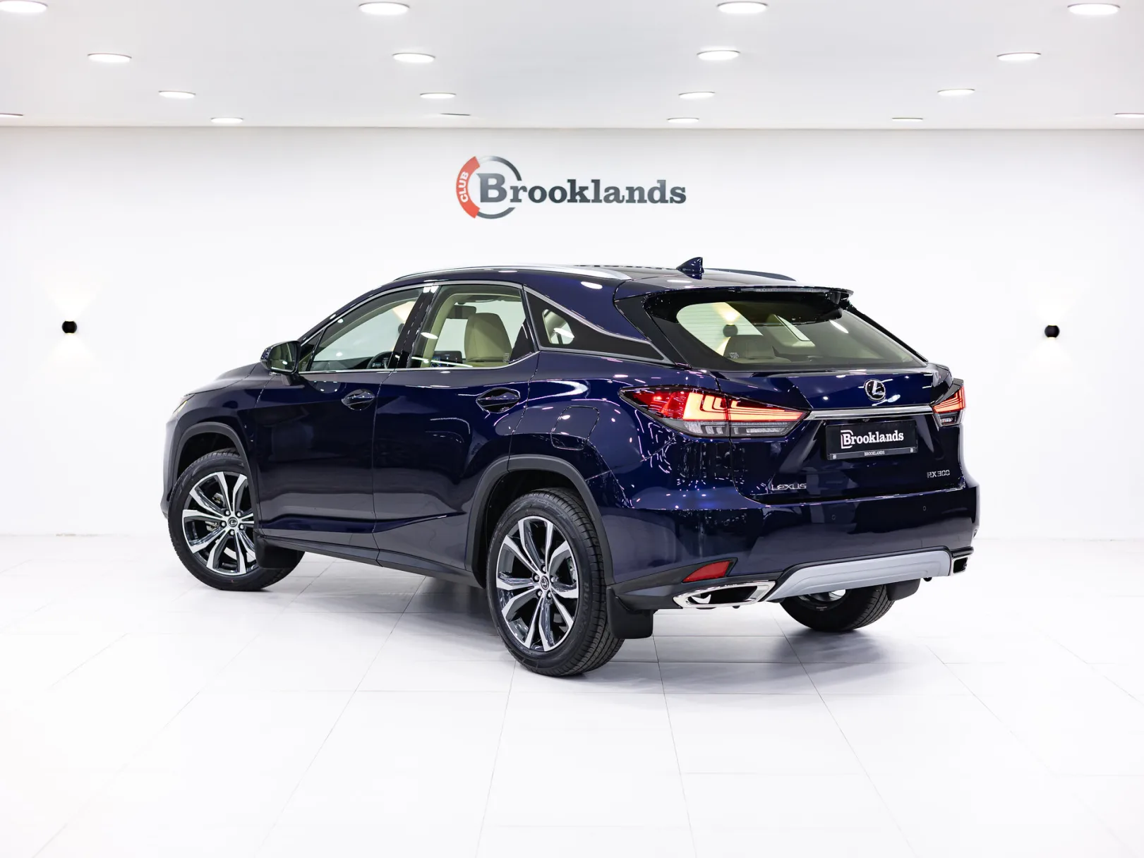 Lexus RX IV Рестайлинг, 2022 — экстерьер, фото 4