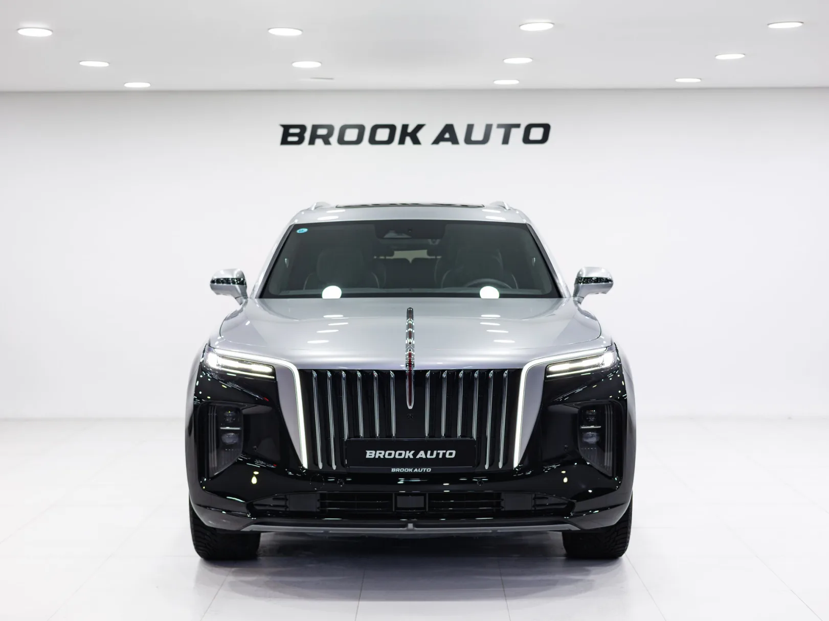 Hongqi E-HS9 Flagship (China) I, 2021 — экстерьер, фото 2