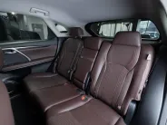 Lexus RX IV Рестайлинг, 2022 — экстерьер, фото 23