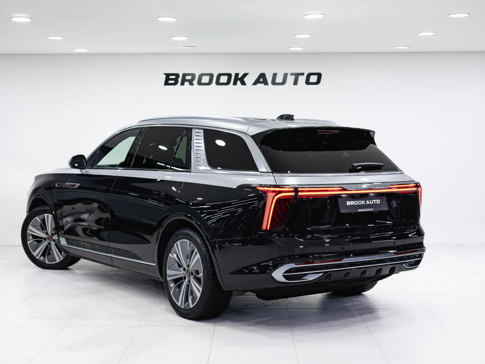 Hongqi E-HS9 Flagship (China) I, 2021 — экстерьер, фото 4