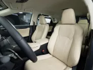Lexus RX IV Рестайлинг, 2022 — экстерьер, фото 10