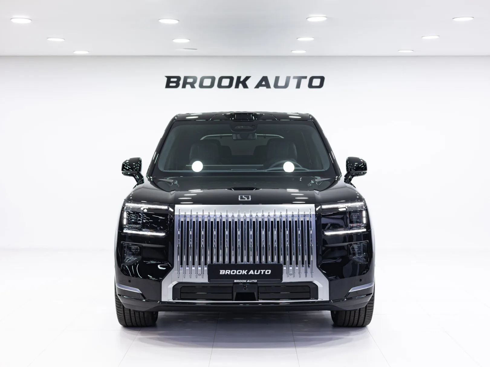 Zeekr 9X Max (6 seats) I, 2025 — экстерьер, фото 2