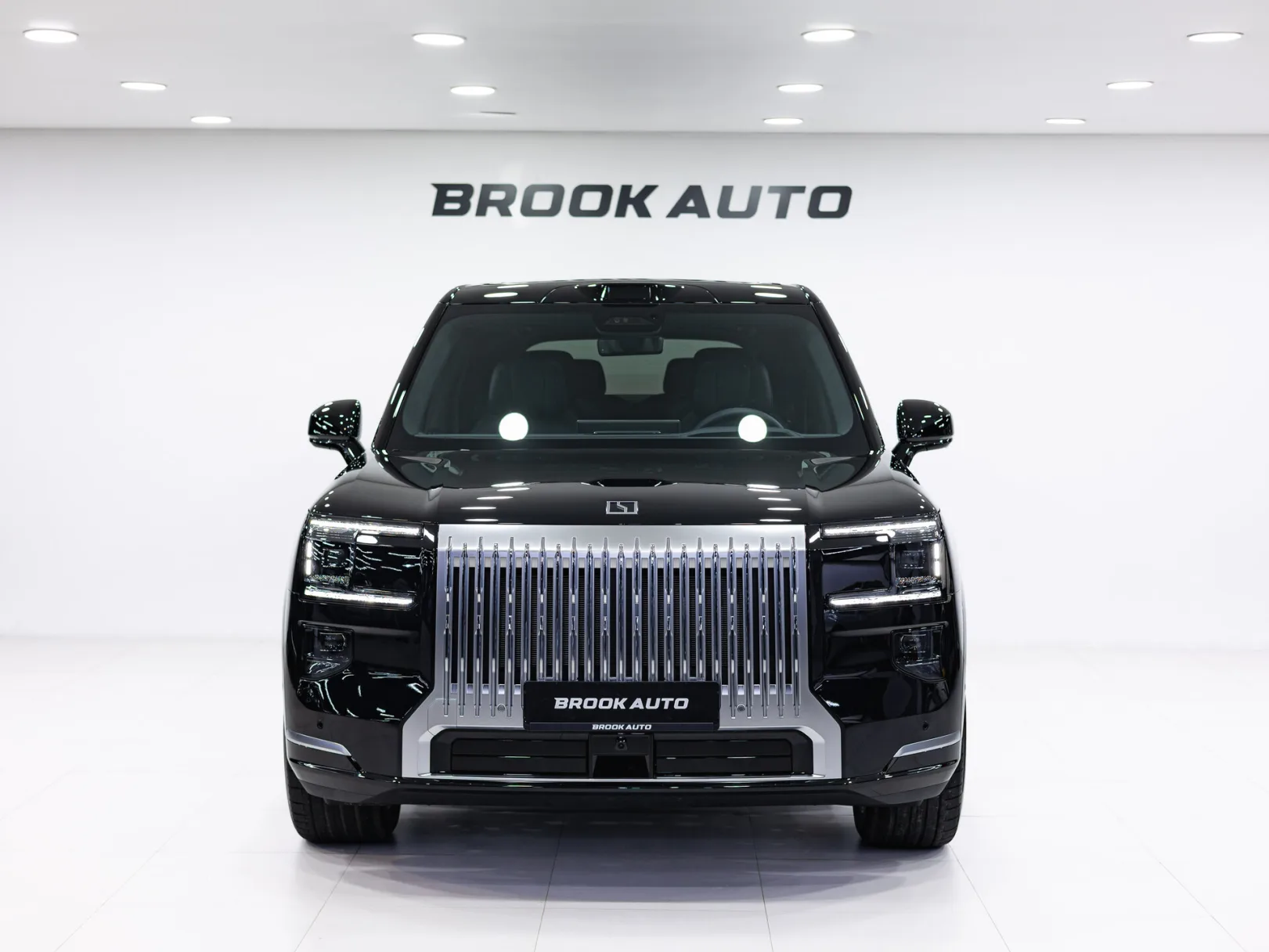 Zeekr 9X Max (6 seats) I, 2025 — экстерьер, фото 2