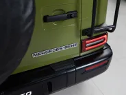 Mercedes-Benz G-Класс G 450 d Professional Line III (W465) Рестайлинг, 2025 — экстерьер, фото 37