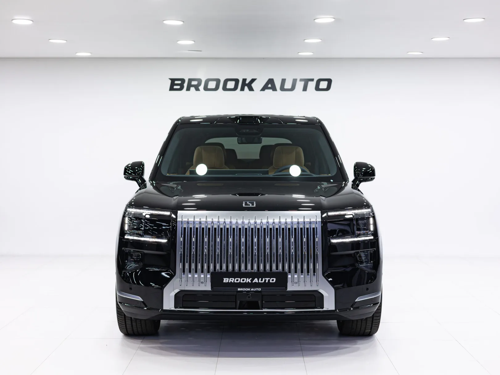 Zeekr 9X Max (6 seats) I, 2025 — экстерьер, фото 2