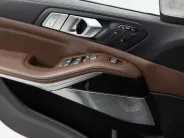 BMW X7 M50d M Special I (G07), 2020 — экстерьер, фото 9