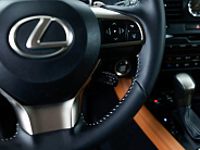 Lexus RX Premium IV Рестайлинг, 2022 — экстерьер, фото 16